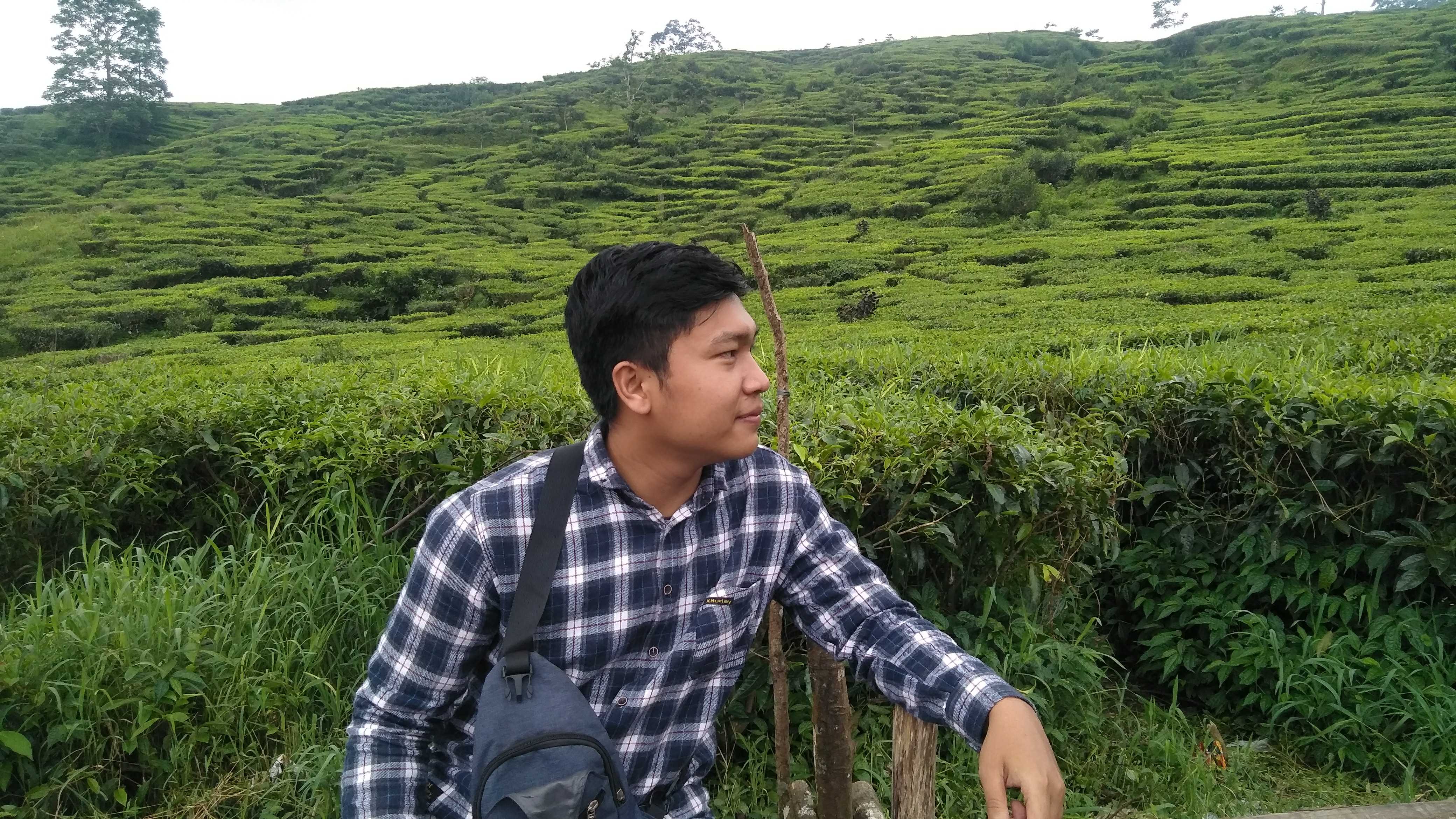 imageProfile