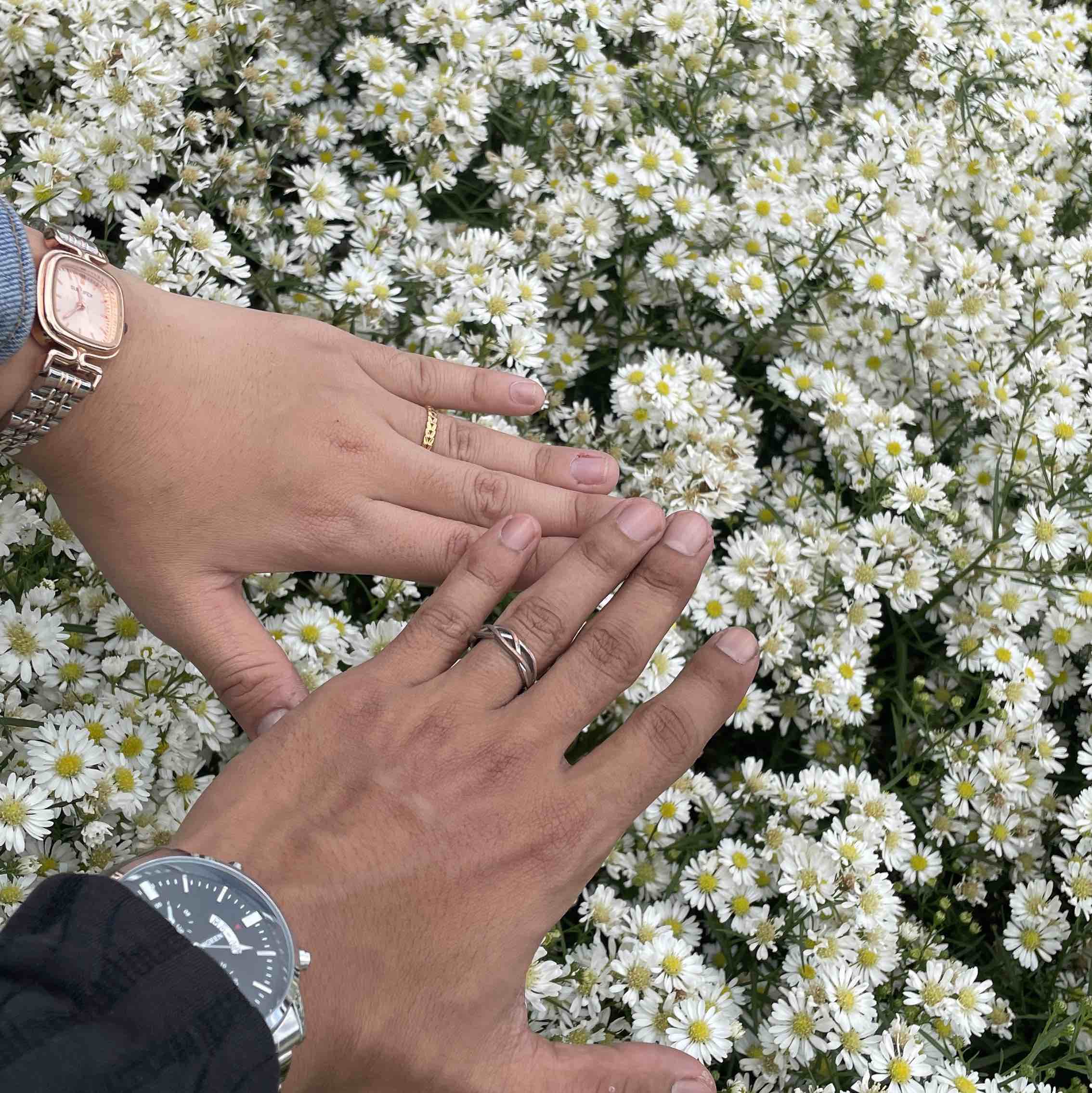 NaeeL