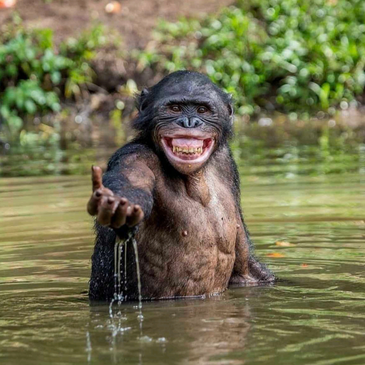 pengamatsaham55