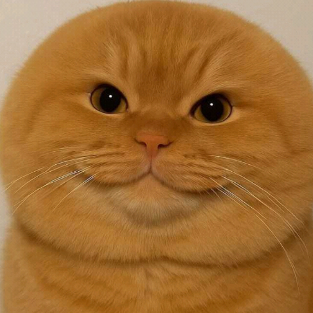 Siapayaa