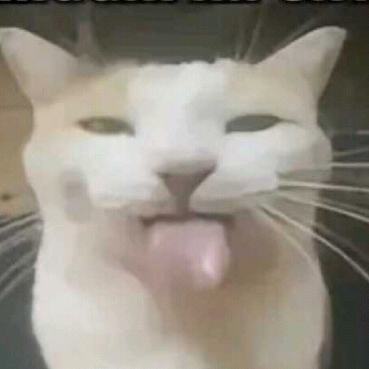 ghytsa