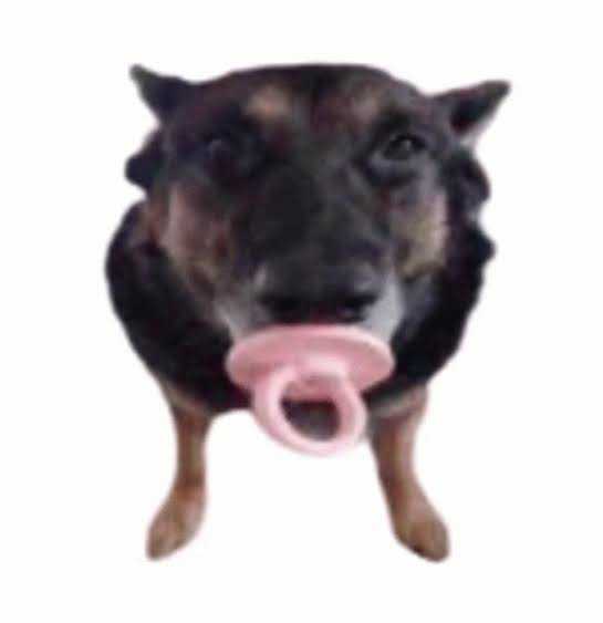 StanlyLoi