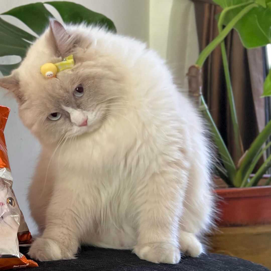 Emorla24