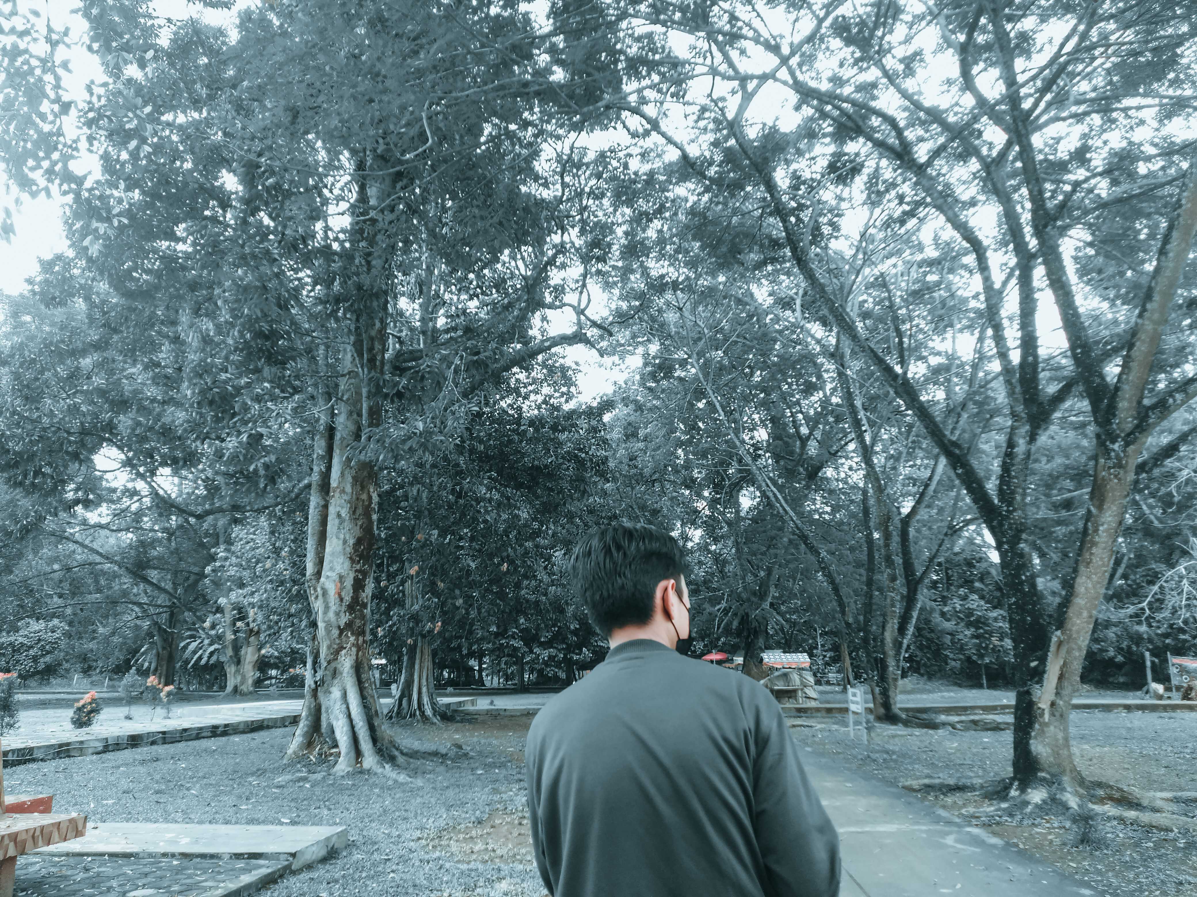 imageProfile