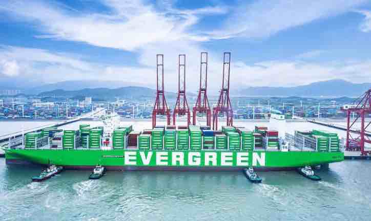 evergreeneveryday