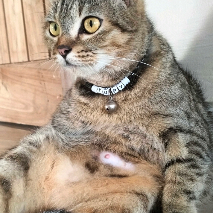Benyhadiyatno