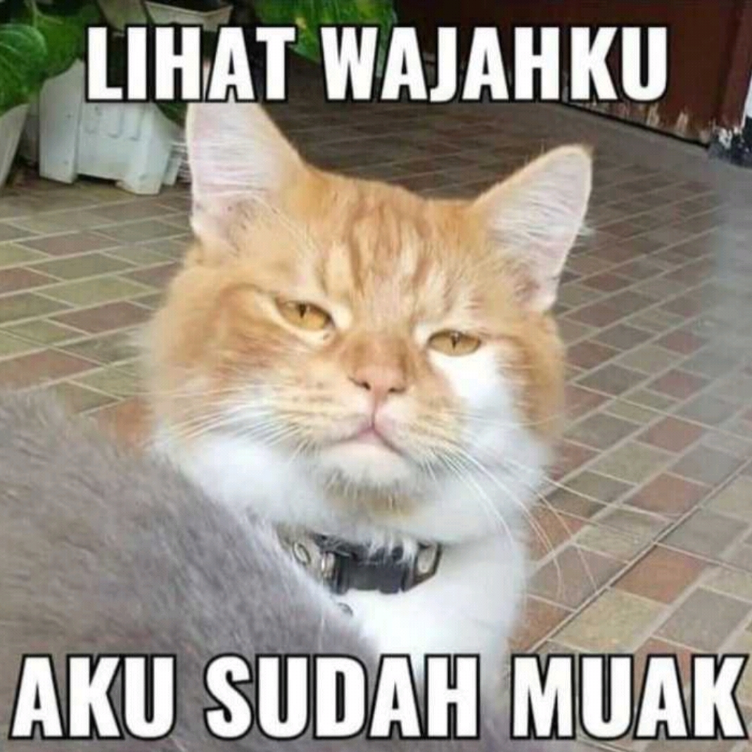 Irfanmaulana091197