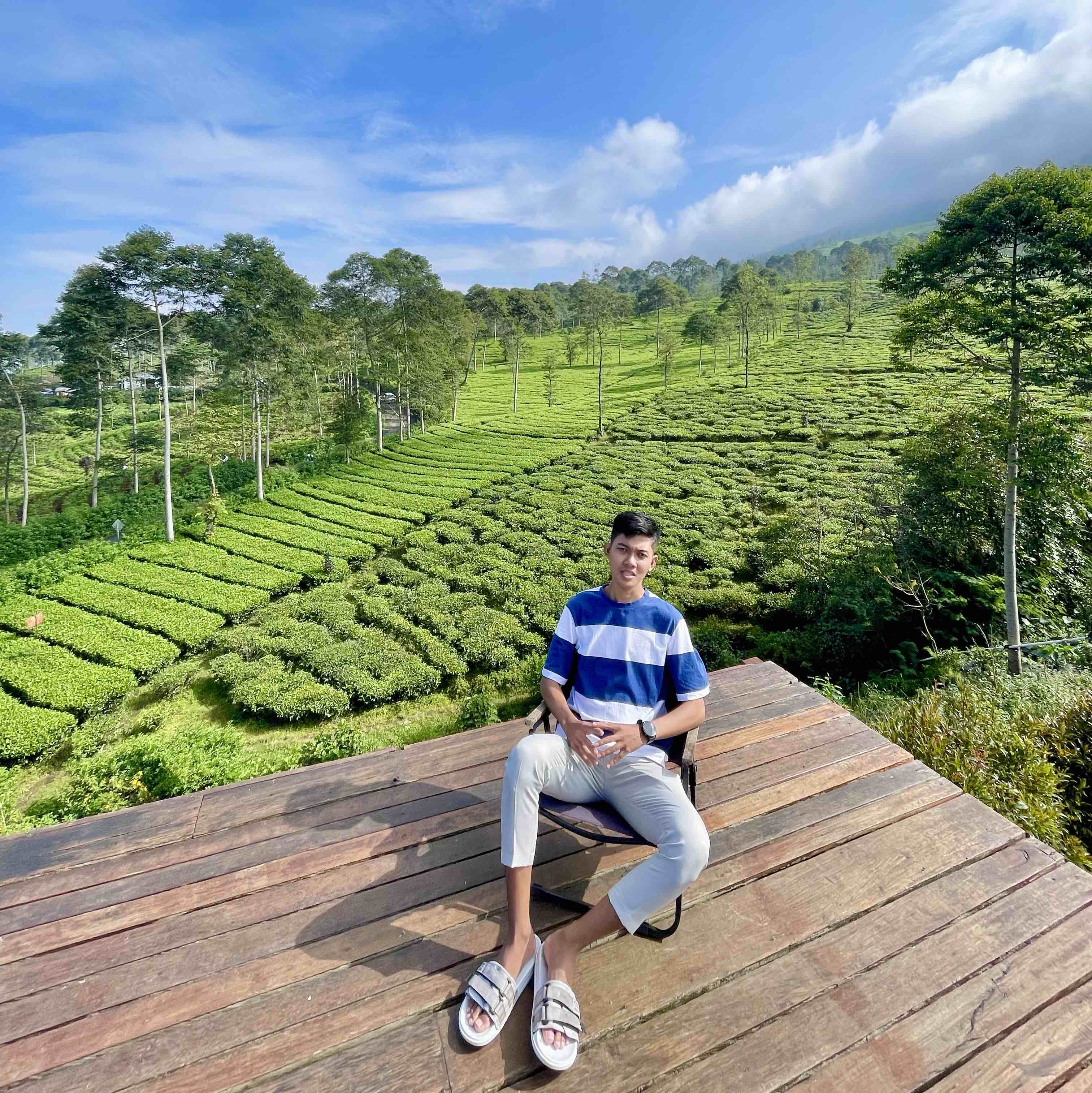 Umarach