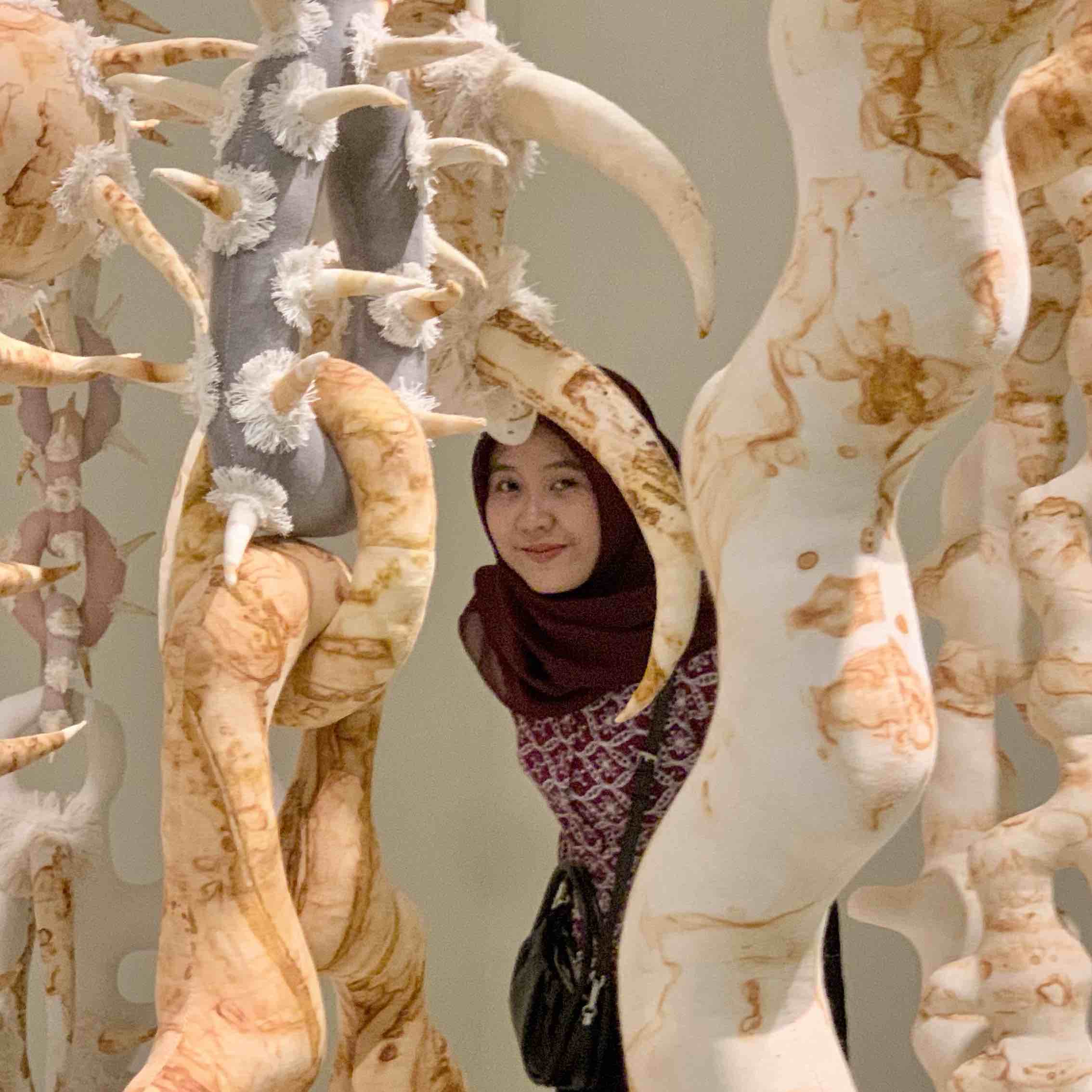 annidafr