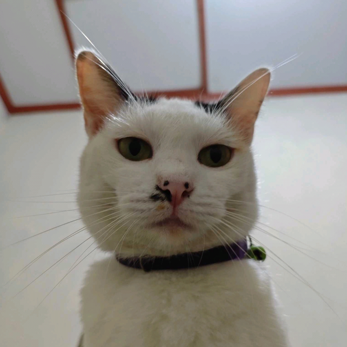 Billydewanto