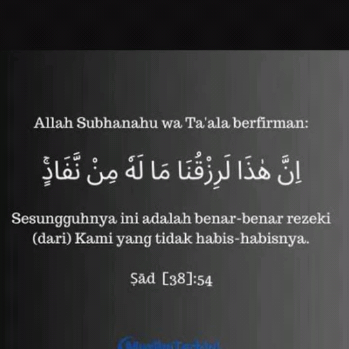 Satranar89