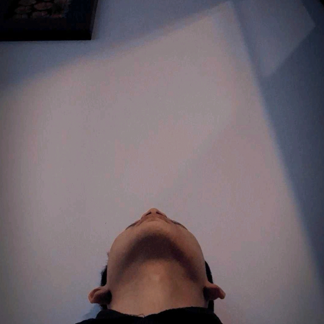 Slhrspnalgipari
