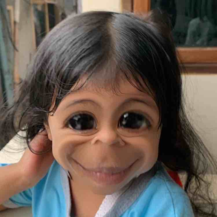 Wangzhi