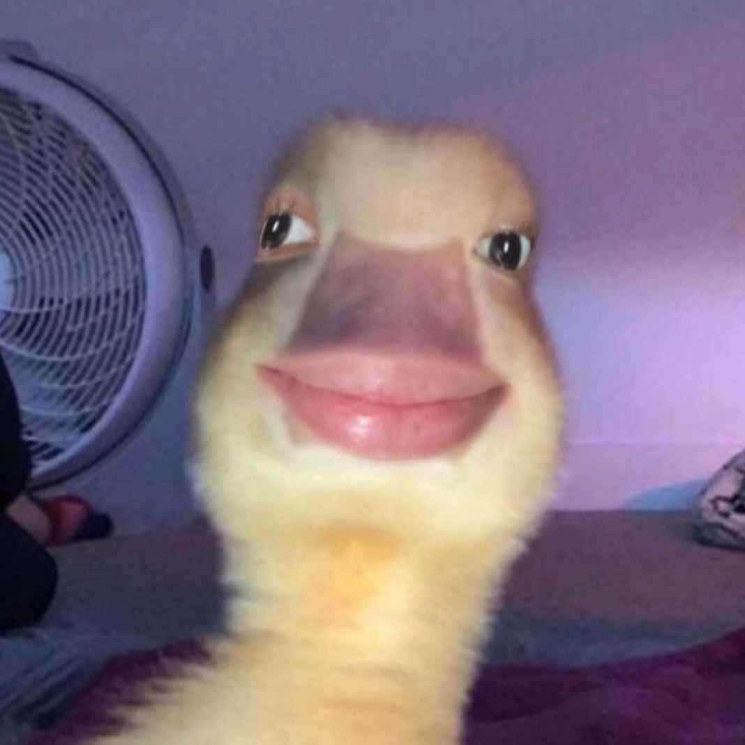 Fadleypearce