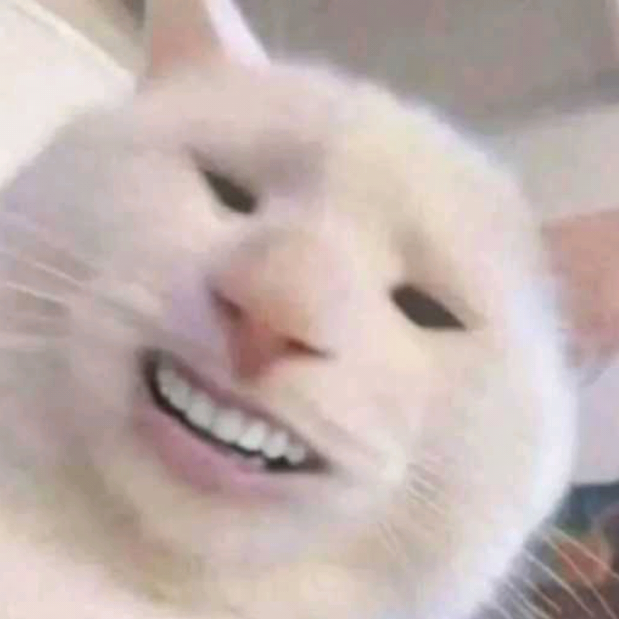 Cuplis01