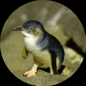 wibisonoyo
