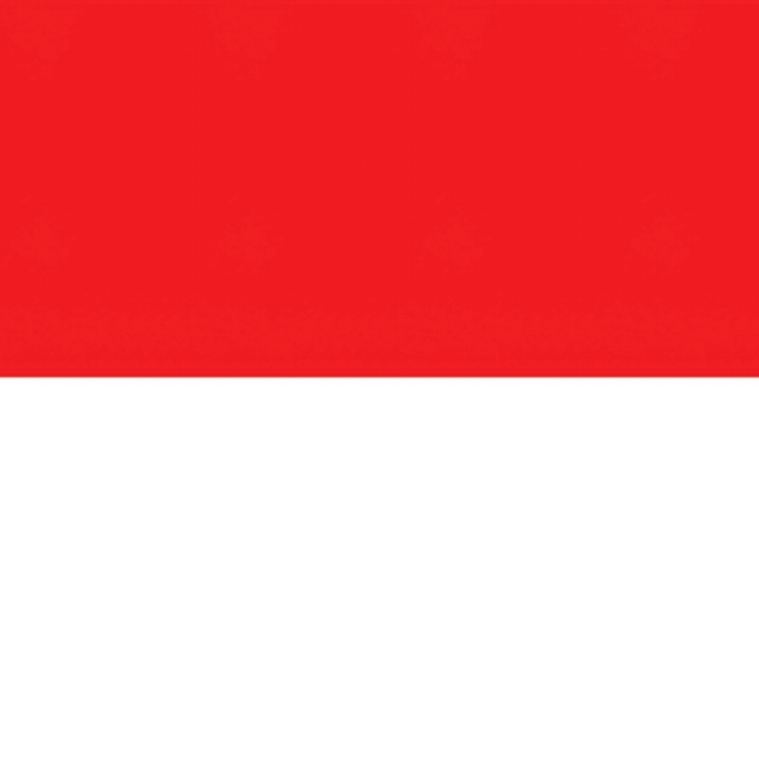 erwindarwin888