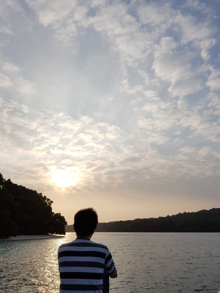 imageProfile