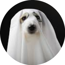 imageProfile