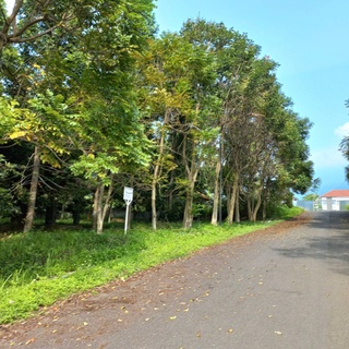 imageProfile