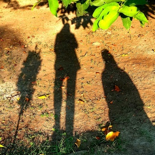 imageProfile