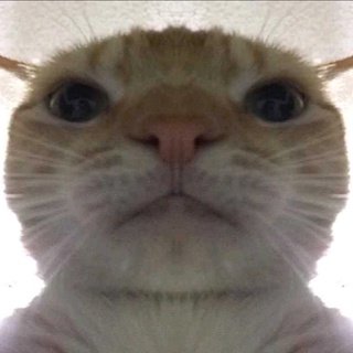 imageProfile