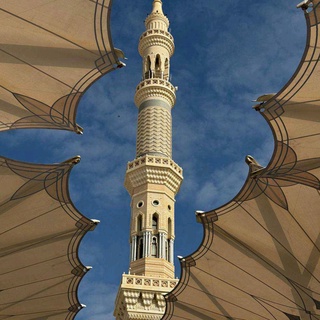 imageProfile