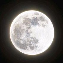 imageProfile