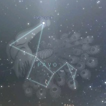 imageProfile