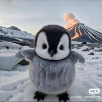 imageProfile