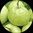 imageProfile