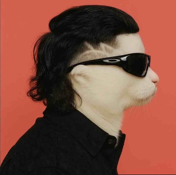imageProfile