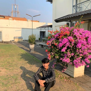imageProfile