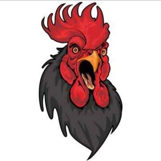 imageProfile