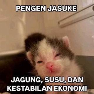 imageProfile