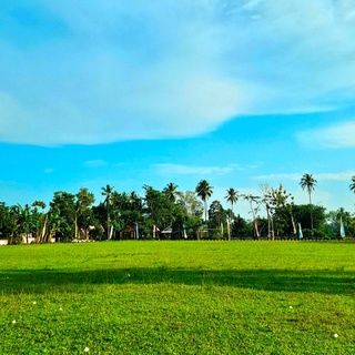 imageProfile