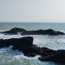 imageProfile