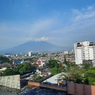 imageProfile