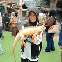 imageProfile