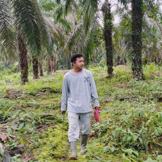 imageProfile