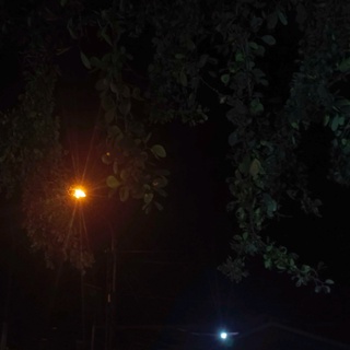 imageProfile