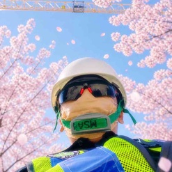 imageProfile