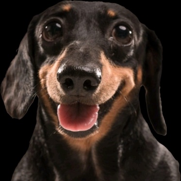 imageProfile