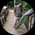imageProfile