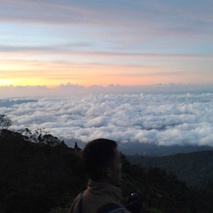 imageProfile