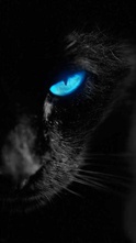 imageProfile