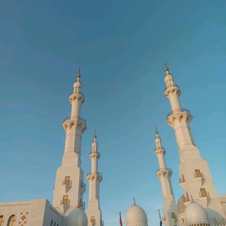 imageProfile