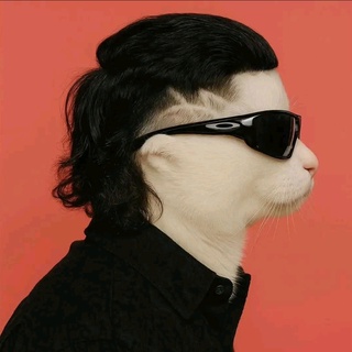imageProfile