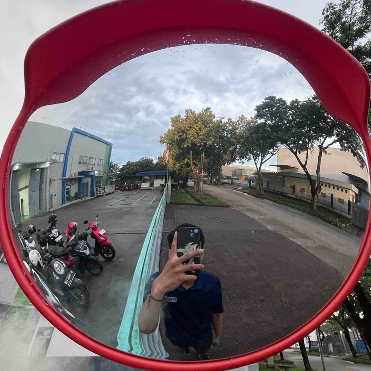 imageProfile