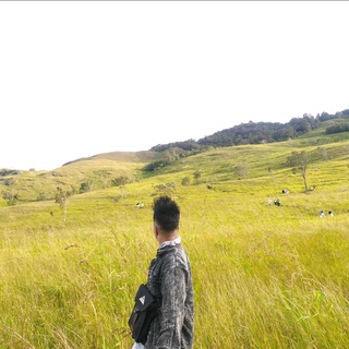 imageProfile